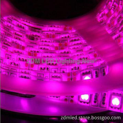 festival and party decoration outdoor led strip lighting